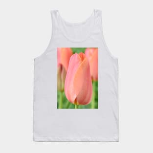 Tulipa  'Stunning Apricot'   Single Late Tulip Tank Top